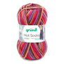Hot Socks color - 703-401 - Berry Mix