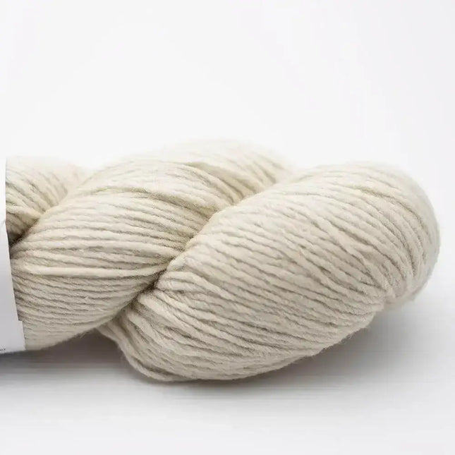 Reborn Wool Recycled - Natural White (012053203-01)