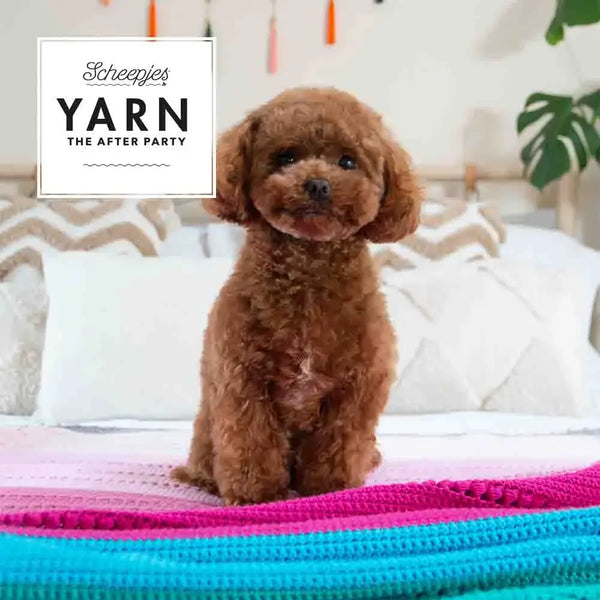 Patrón impreso YARN The After Party nº 201 – Sugar Pop Throw Organicon (Scheepjes) - Detalle 4