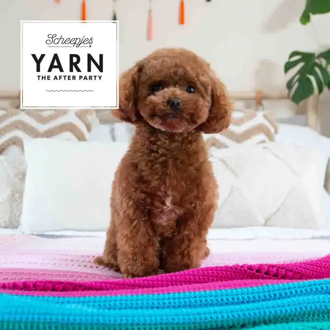 Patrón impreso YARN The After Party nº 201 – Sugar Pop Throw Organicon (Scheepjes) - Detalle 4