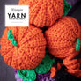 Patrón Impreso YARN The After Party nº 76 – Halloween Wreath (Scheepjes) - Detalle 2