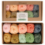Scheepjes Stone Washed Colour pack (24532) Intentions