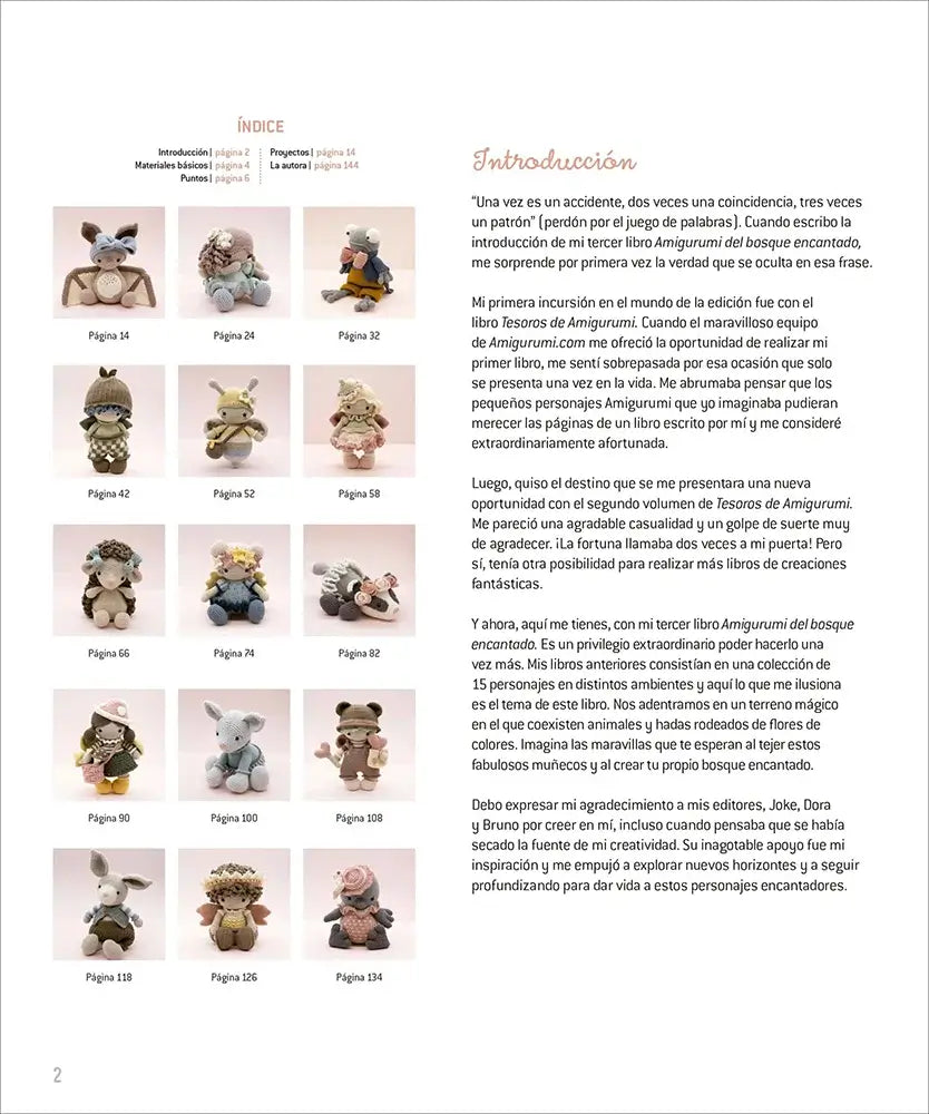 Libro: Amigurumi del bosque encantado - Interior 1