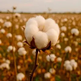 Banner hilo de algodon