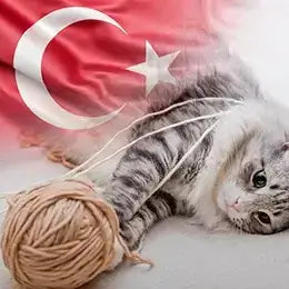 Banner Colección de hilos y lanas de Turquía