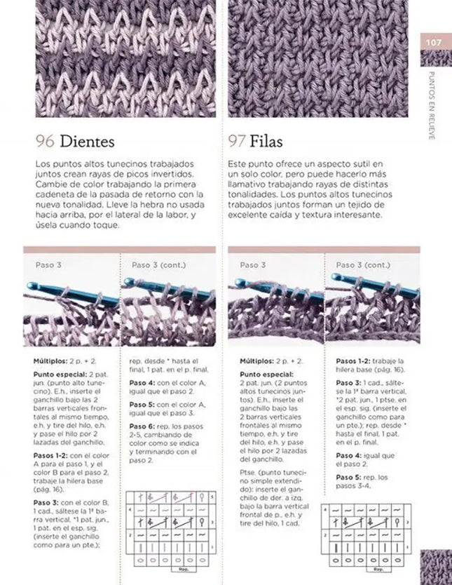 Manual de Puntos de Ganchillo Tunecino - Dientes