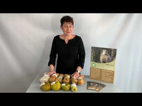 BC GARN - Bio Shetland GOTS - Video 2 sobre GOTS